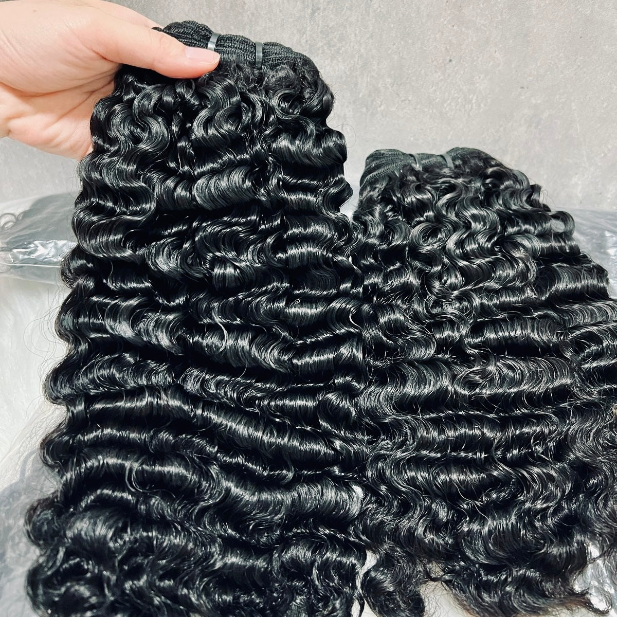 12A Burmese Curl Bundle ( 1pc )